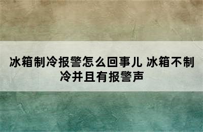 冰箱制冷报警怎么回事儿 冰箱不制冷并且有报警声